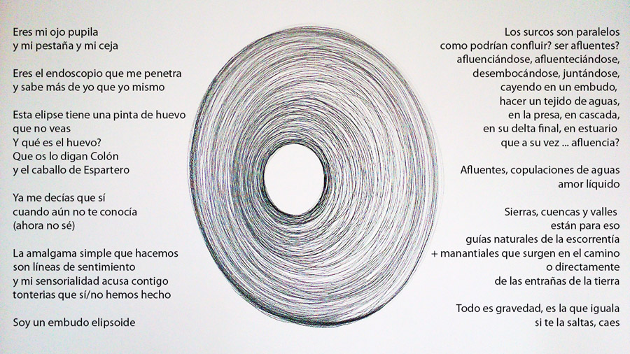 Elipse huevo