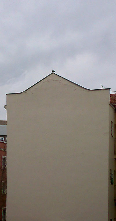 tejado