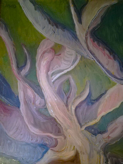Raices