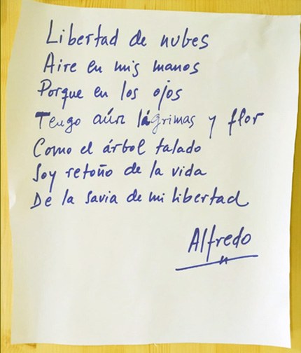 Arbol talado