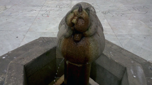 gatipedro